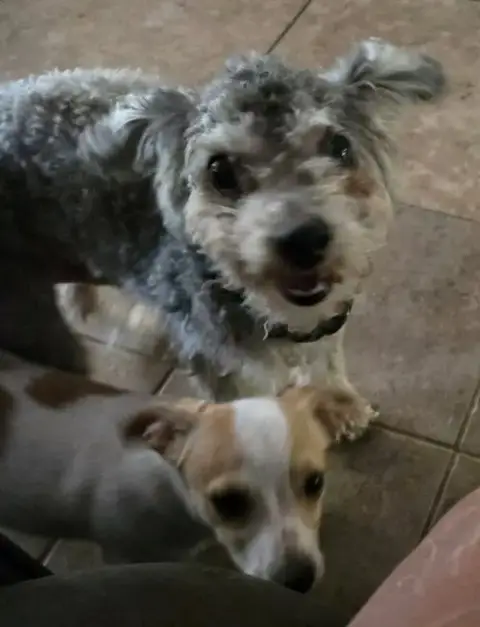 Tito photo 4