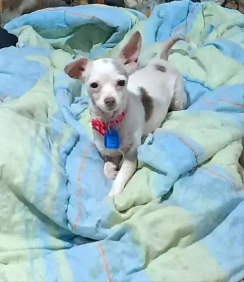 Winnie