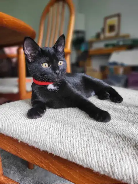 Smeagol