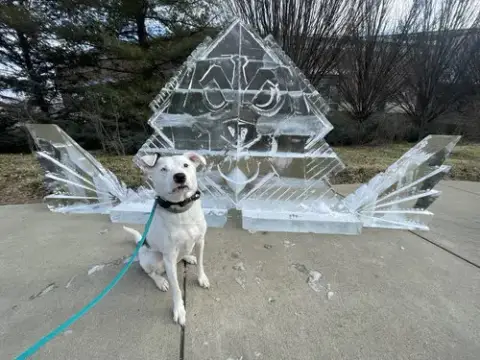 Shuggie photo 4