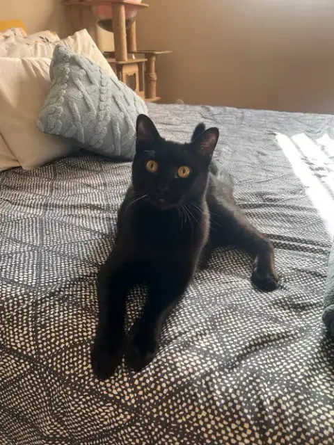 Snugs