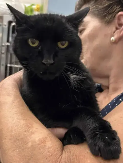 Edwina: Not At Shelter