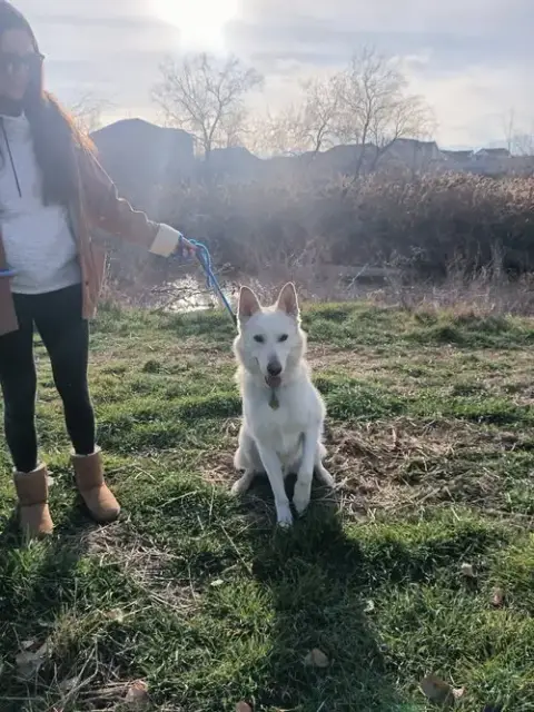 Bestest Buddy photo 5