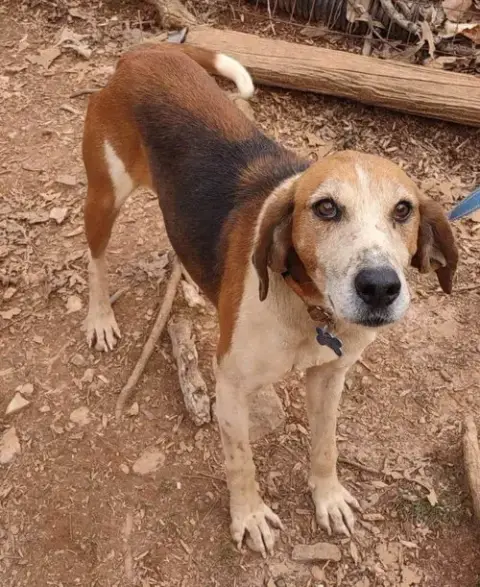 Alexander:  Not At The Shelter photo 3