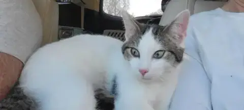 Toots