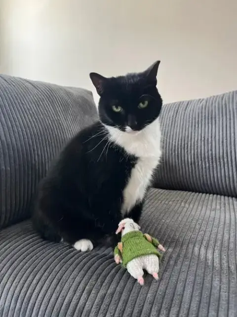 Petunia