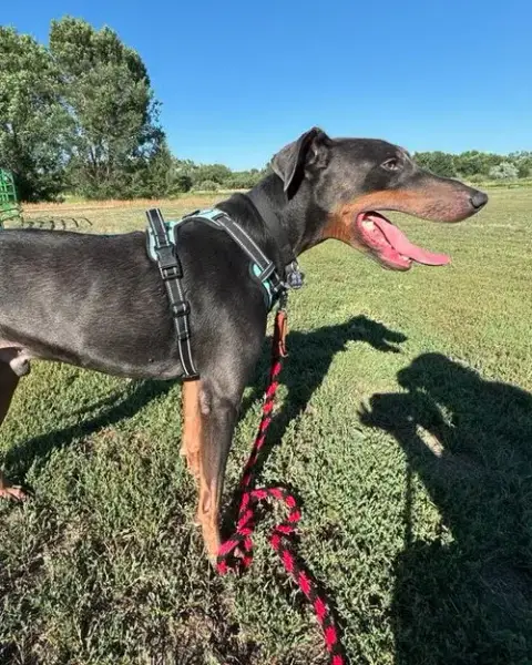 Jax photo 3