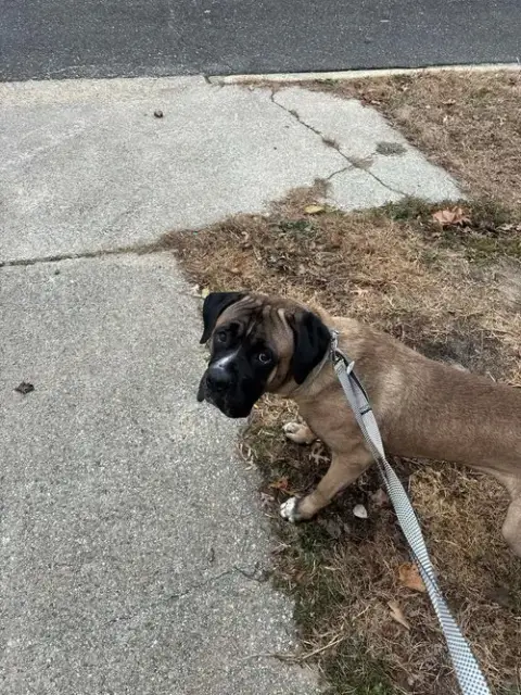 Esco
