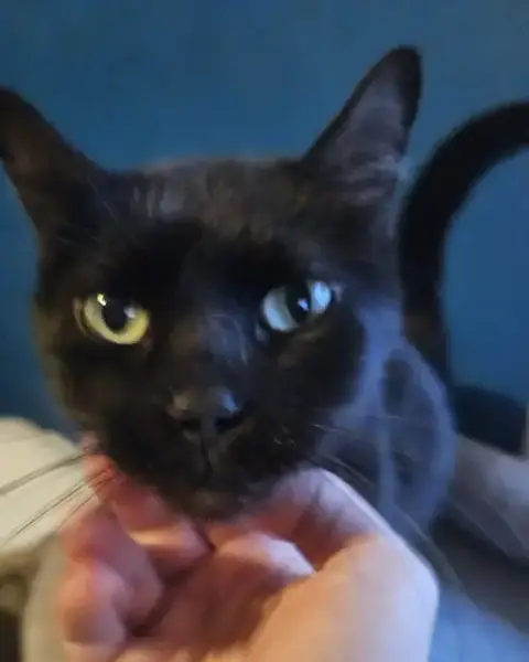 Gus