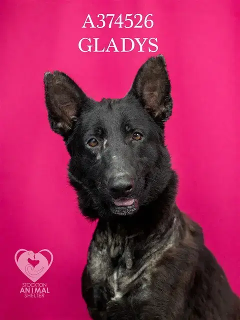 Gladys