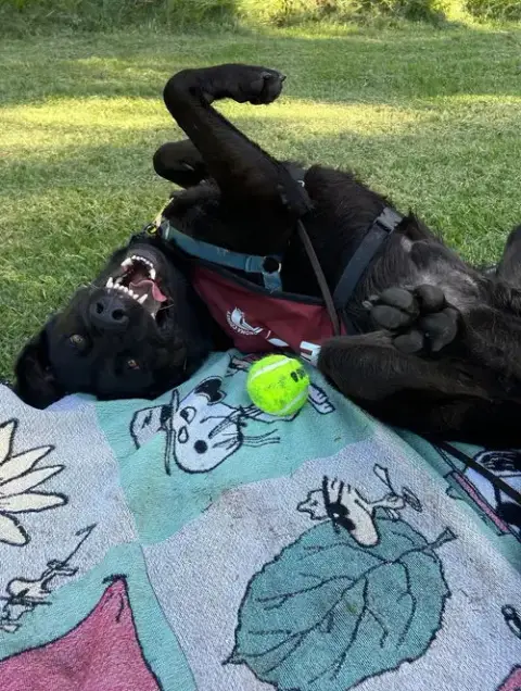 Rocky A422137 photo 3