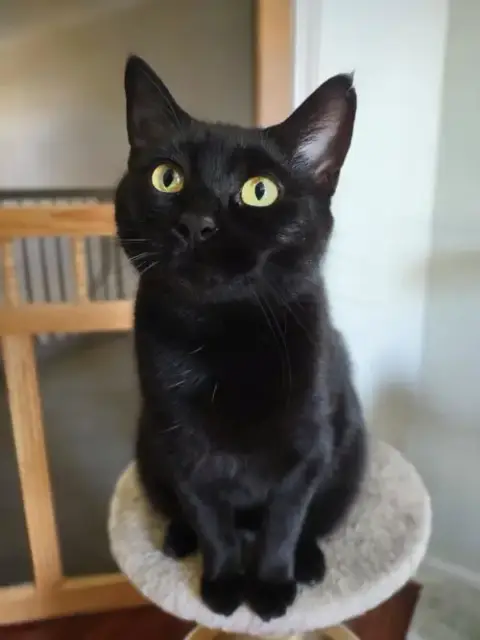 Mama photo 2