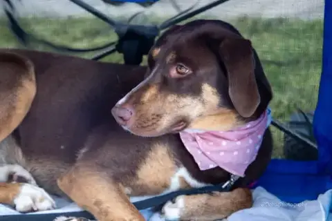 Asher photo 4