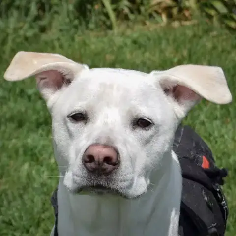 Zero