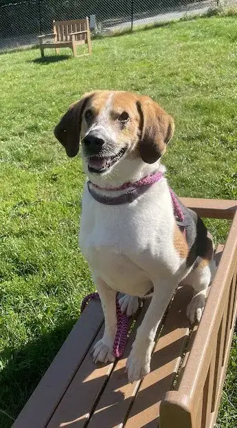 Duke