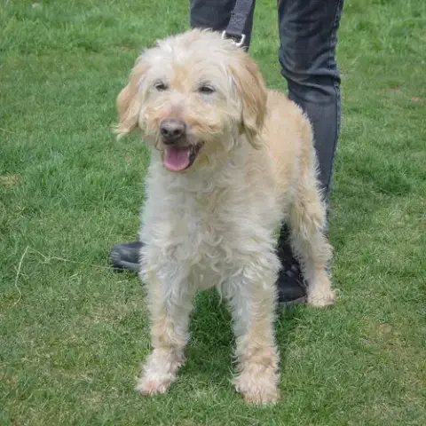 Marley Moo photo 3