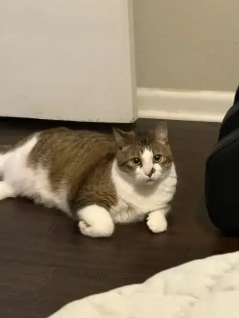 Jamie
