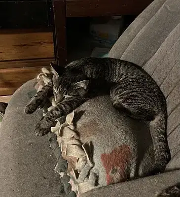 Griffin Bonded