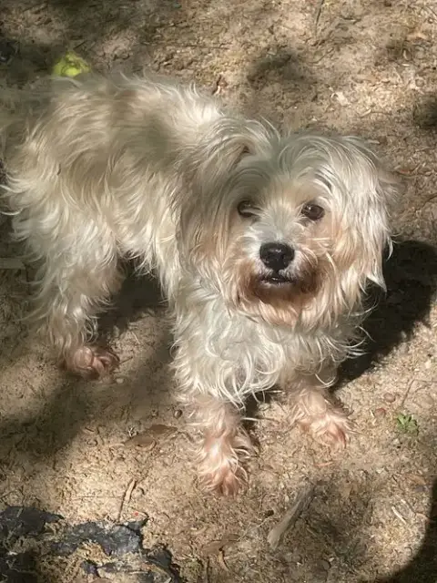 2.. Luna