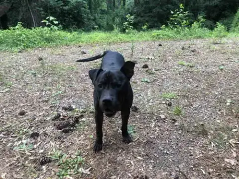 Jack