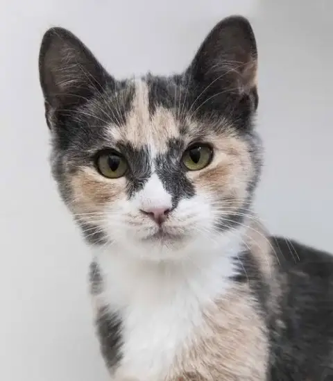 Freya photo 4
