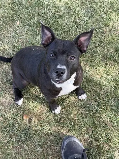 Chyna
