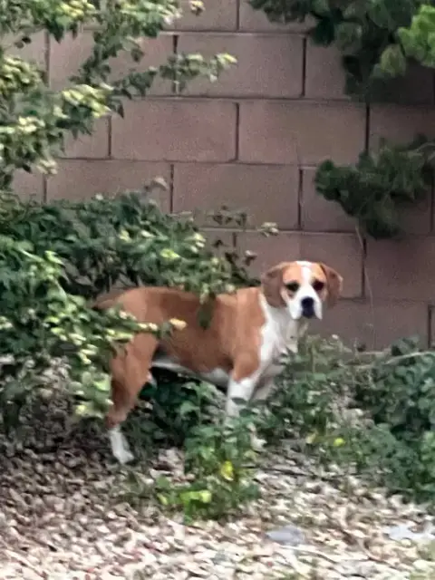 Maybel photo 4