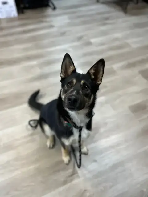 Jax photo 3