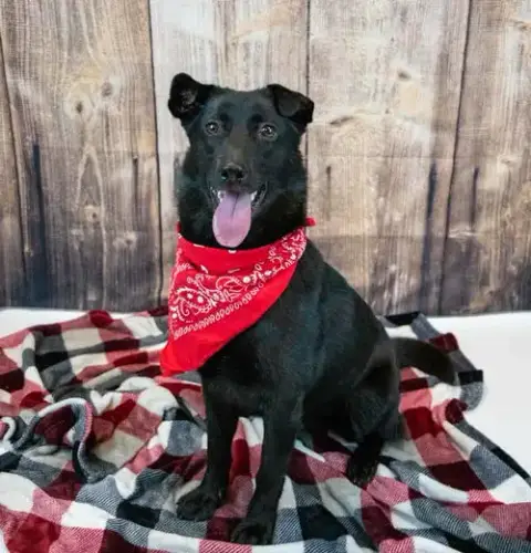 Fiona photo 5