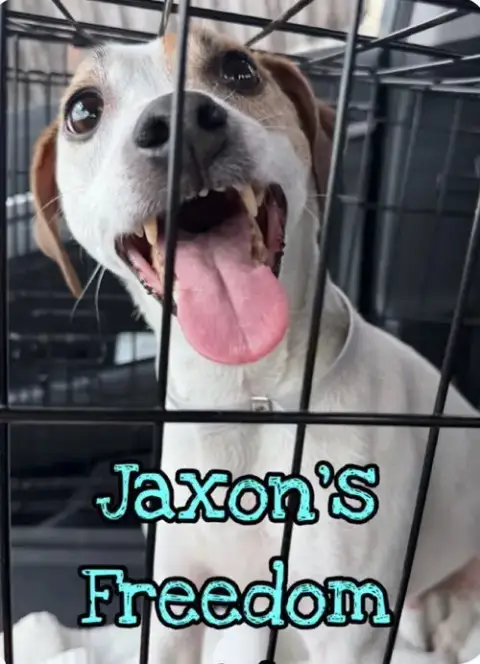 Jaxon Dd~ photo 4