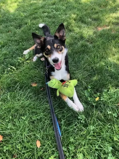 Bella photo 4