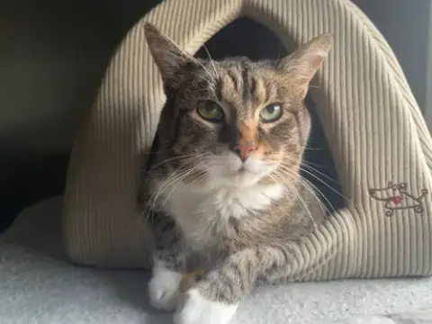 Mingus