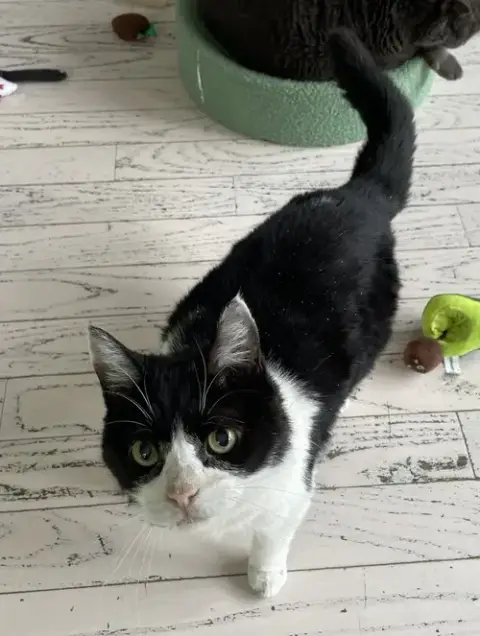 Stella photo 2