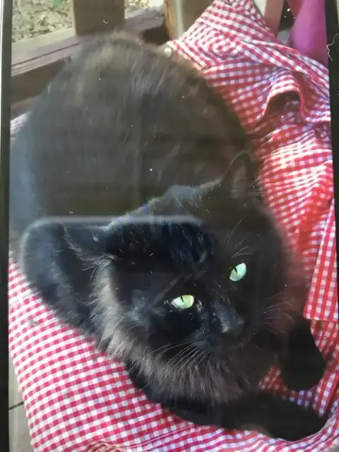 Bob