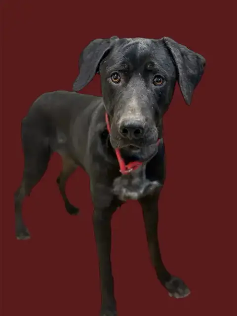 Max photo 5