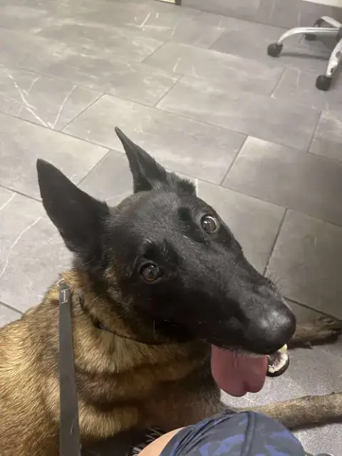 Kona