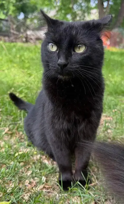 Lucie