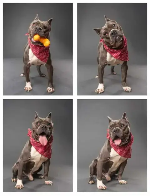 Big Max photo 3