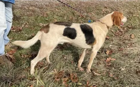 Gregory: Not At The Shelter photo 4