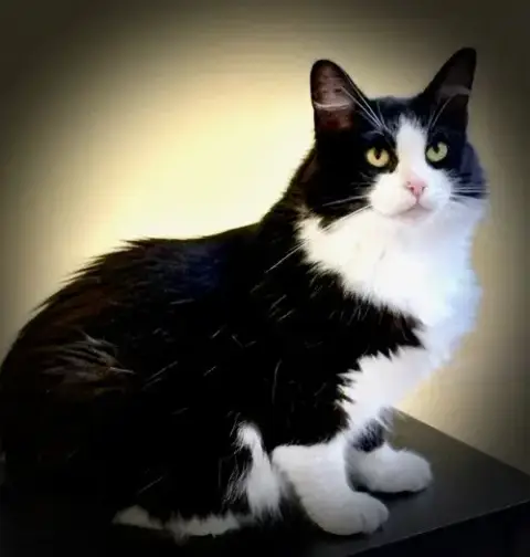 Miara photo 4