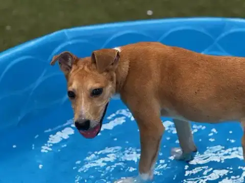Spoolie