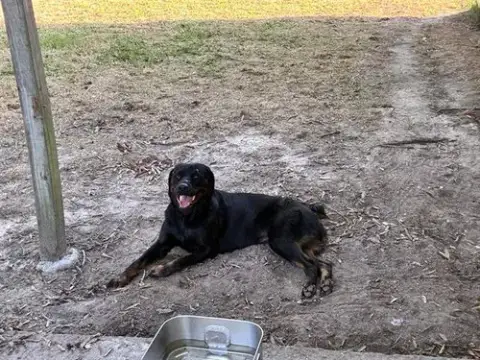 Z-Ro