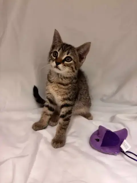 Ellie: Not At Shelter photo 2