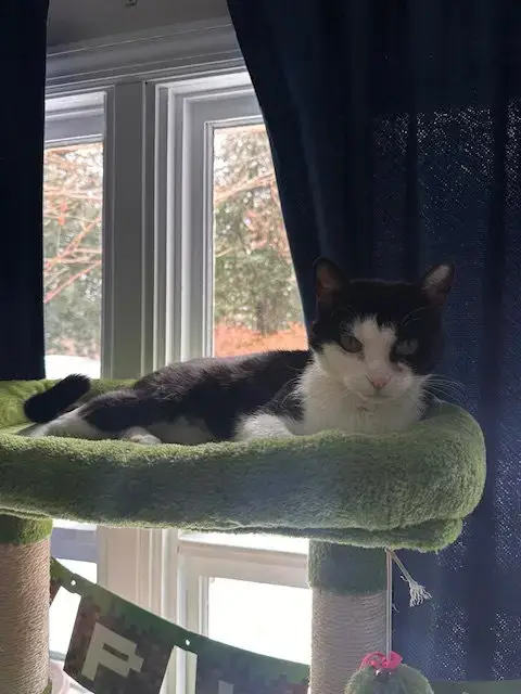 Kiki photo 4