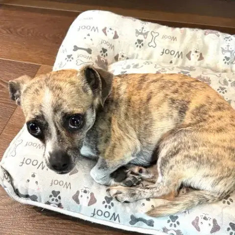 Minnie