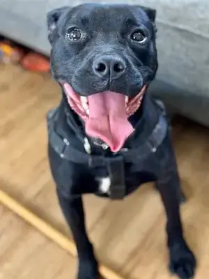 *Benny