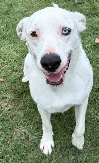 Casper photo 4