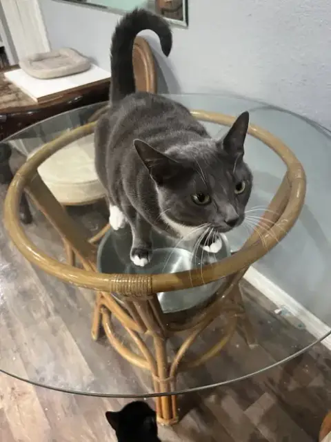 Tiny