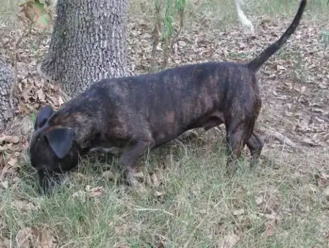 Zeus photo 2