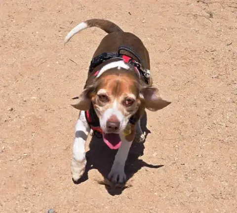 Grace photo 4